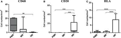 Distinct Microbial Communities in Dilated Cardiomyopathy Explanted Hearts Are Associated With Different Myocardial Rejection Outcomes